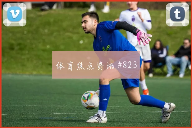 阿尔及利亚对阿根廷J组犯规数据