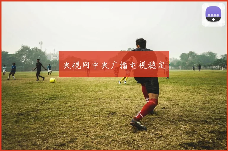 央视网中央广播电视稳定