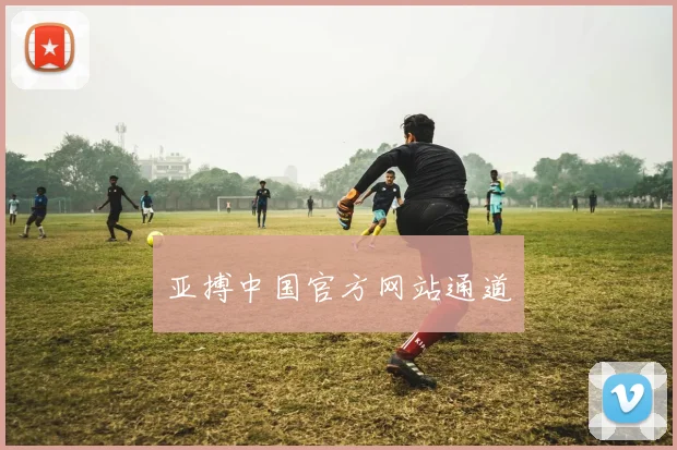 亚搏中国官方网站通道