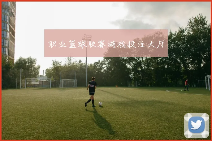 职业篮球联赛游戏投注大厅