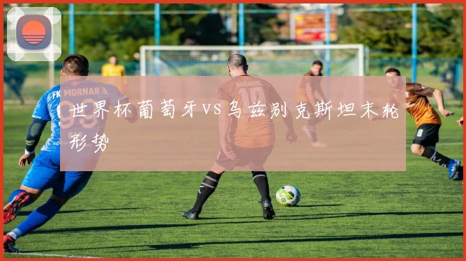 世界杯葡萄牙vs乌兹别克斯坦末轮形势