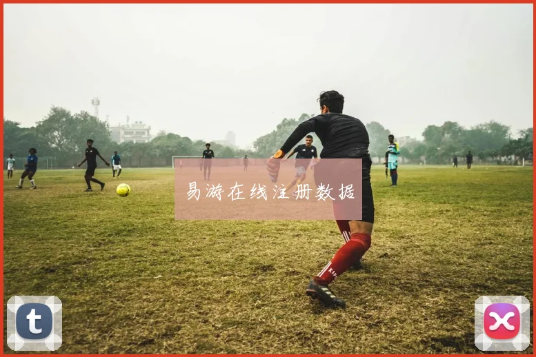 易游在线注册数据