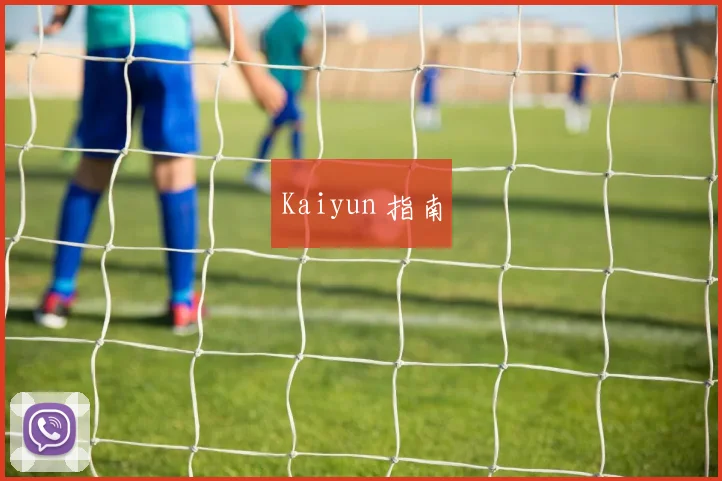Kaiyun 指南