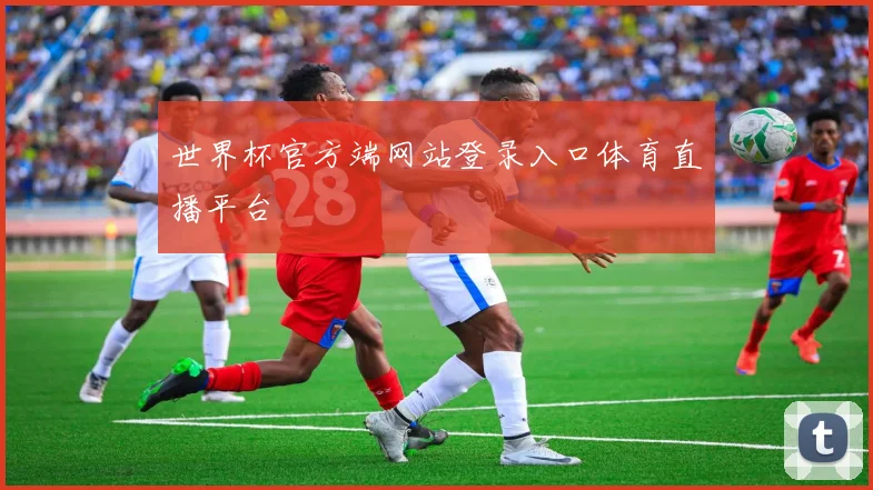 世界杯官方端网站登录入口体育直播平台