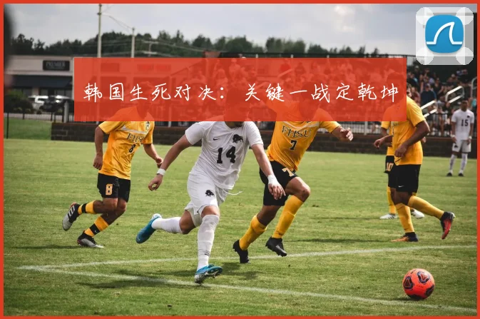 韩国生死对决：关键一战定乾坤