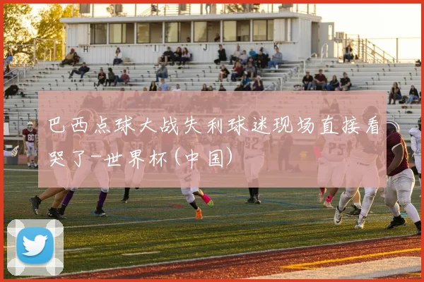 巴西点球大战失利球迷现场直接看哭了-世界杯(中国)