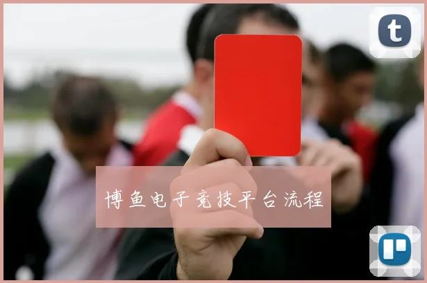 博鱼电子竞技平台流程