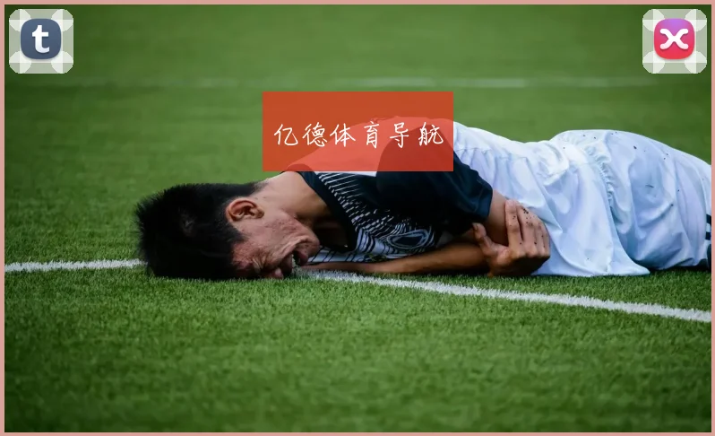 亿德体育导航