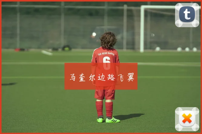 马奎尔边路飞翼