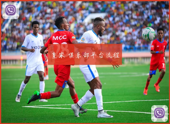 皇家 俱乐部平台流程