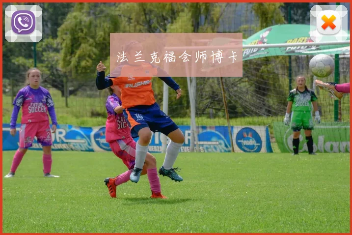 法兰克福会师博卡