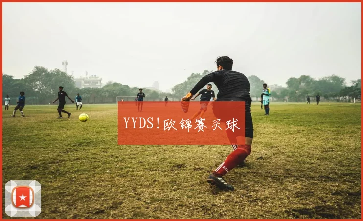 YYDS!欧锦赛买球