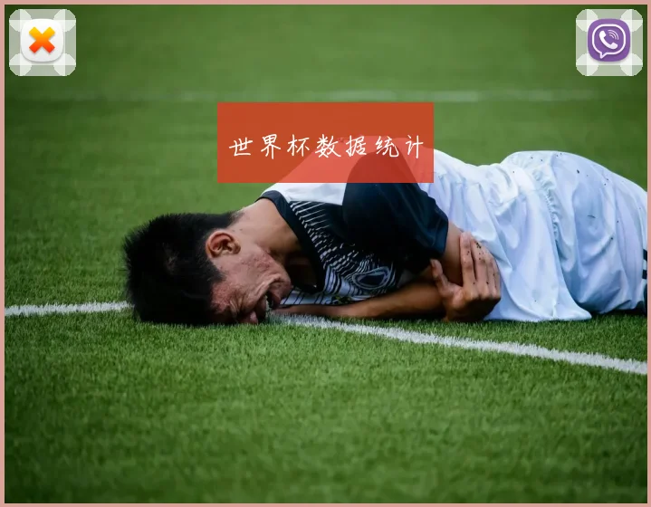 世界杯数据统计