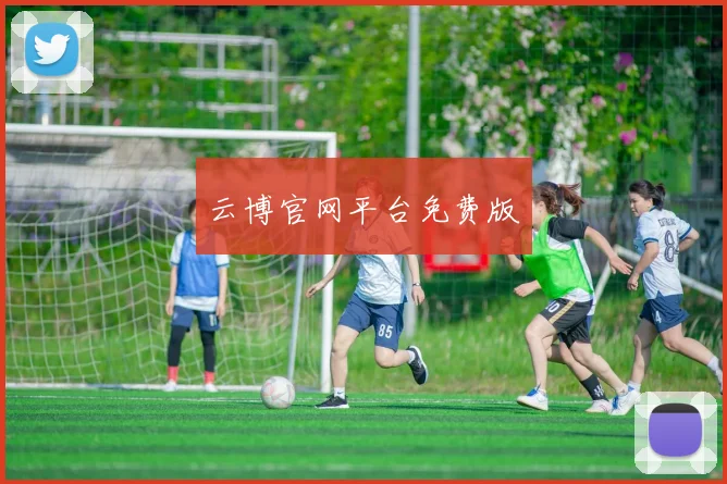 云博官网平台免费版