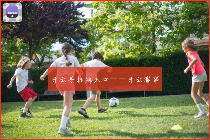 开云手机端入口——开云赛事