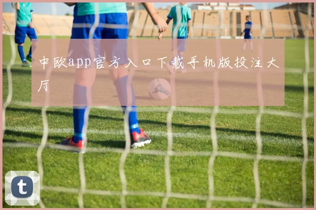 中欧app官方入口下载手机版投注大厅