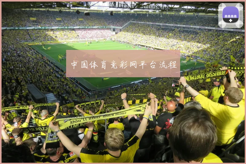 中国体育竞彩网平台流程