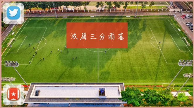 浓眉三分雨落