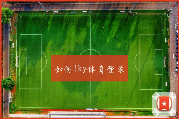 如何!ky体育登录