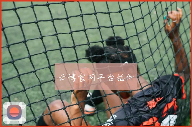 云博官网平台插件