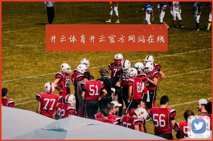 开云体育开云官方网站在线