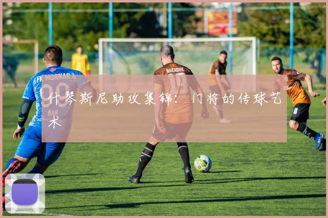 什琴斯尼助攻集锦：门将的传球艺术