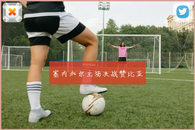 塞内加尔主场决战赞比亚