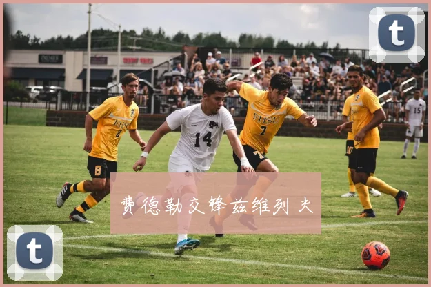 费德勒交锋兹维列夫