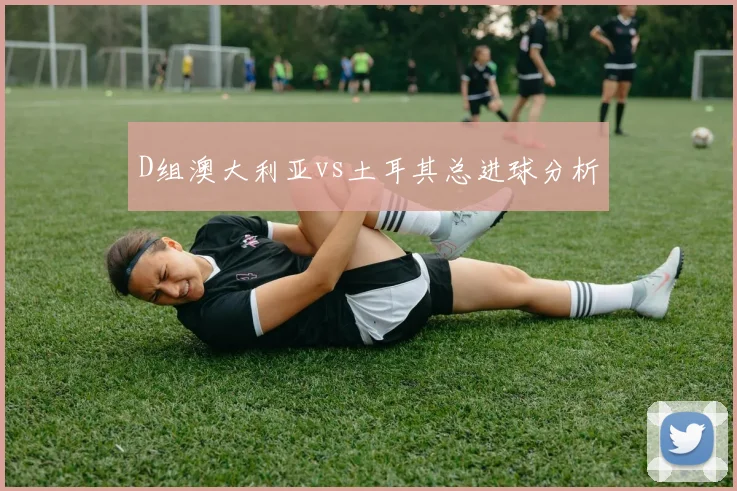 D组澳大利亚vs土耳其总进球分析