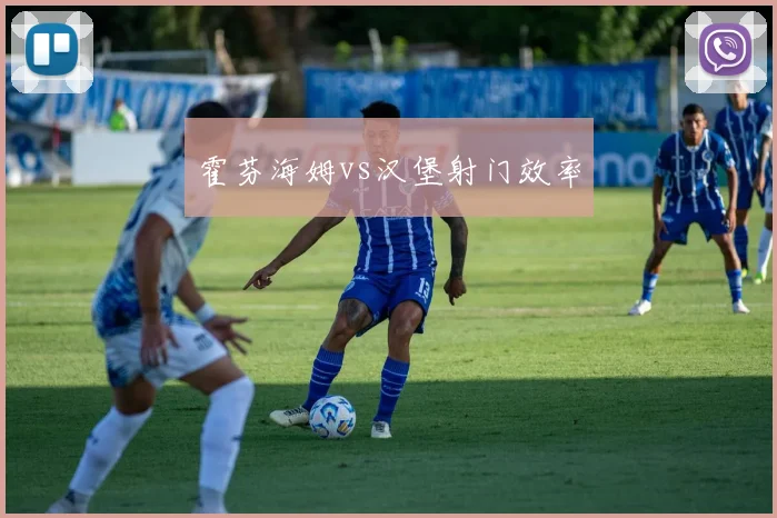 霍芬海姆vs汉堡射门效率