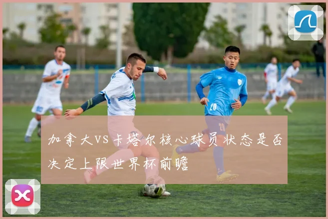 加拿大vs卡塔尔核心球员状态是否决定上限世界杯前瞻